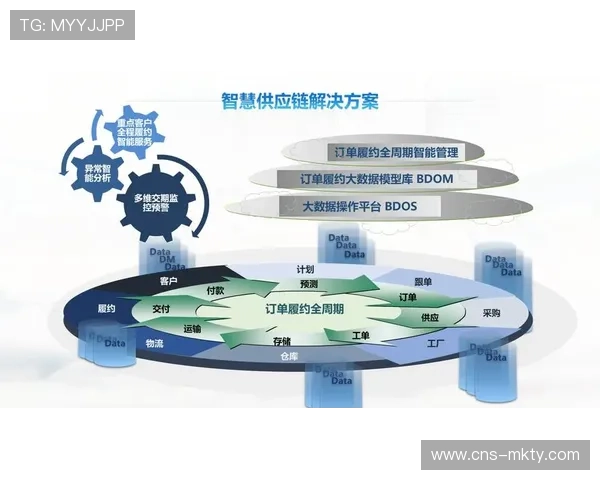 体育服务供应链构建开放API接口，促进第三方服务接入